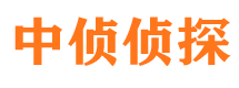 启东侦探公司